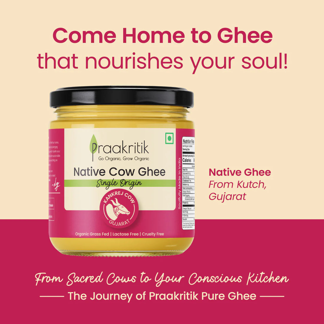 Ghee | Native Kankrej Cow Ghee (Single Origin) - Kankrej Cow (Gujarat) - Organic Grass Fed, Lactose Free, Cruelty Free - Praakritik - 500ml