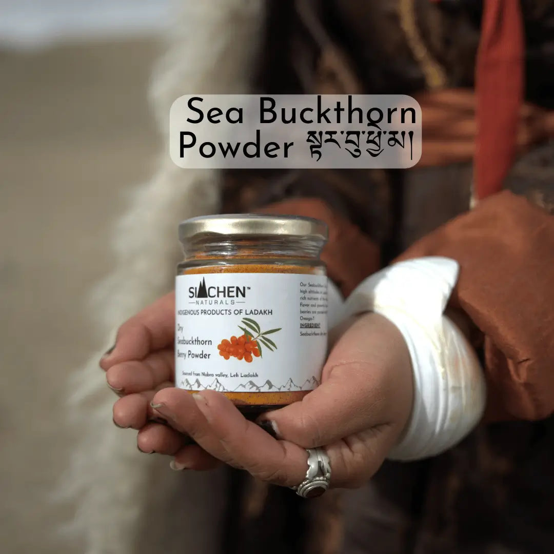 Seabuckthorn Berries Powder |  Dry - (Nubra valley, Leh Ladakh) - 100% Natural - Siachen Naturals - 70gm
