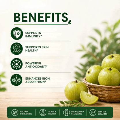 Supplement | Vitamin C  With Amla Extract +Zinc (Vitamin &amp; Mineral) -Boost Immunity , Support In Skin &amp; bone Health – Pure Nutrition – 60 Capsules