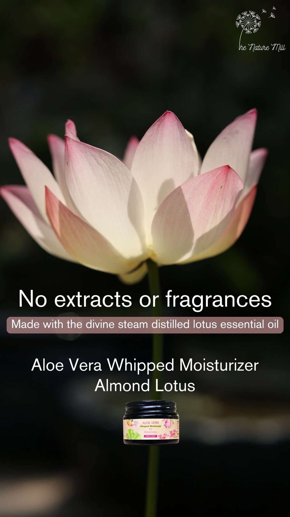 Lotion | Aloe Vera Almond Face &amp; Body Lotion (Lotus)– Nourishing &amp; Soothing  – The Nature Mill – 50gm
