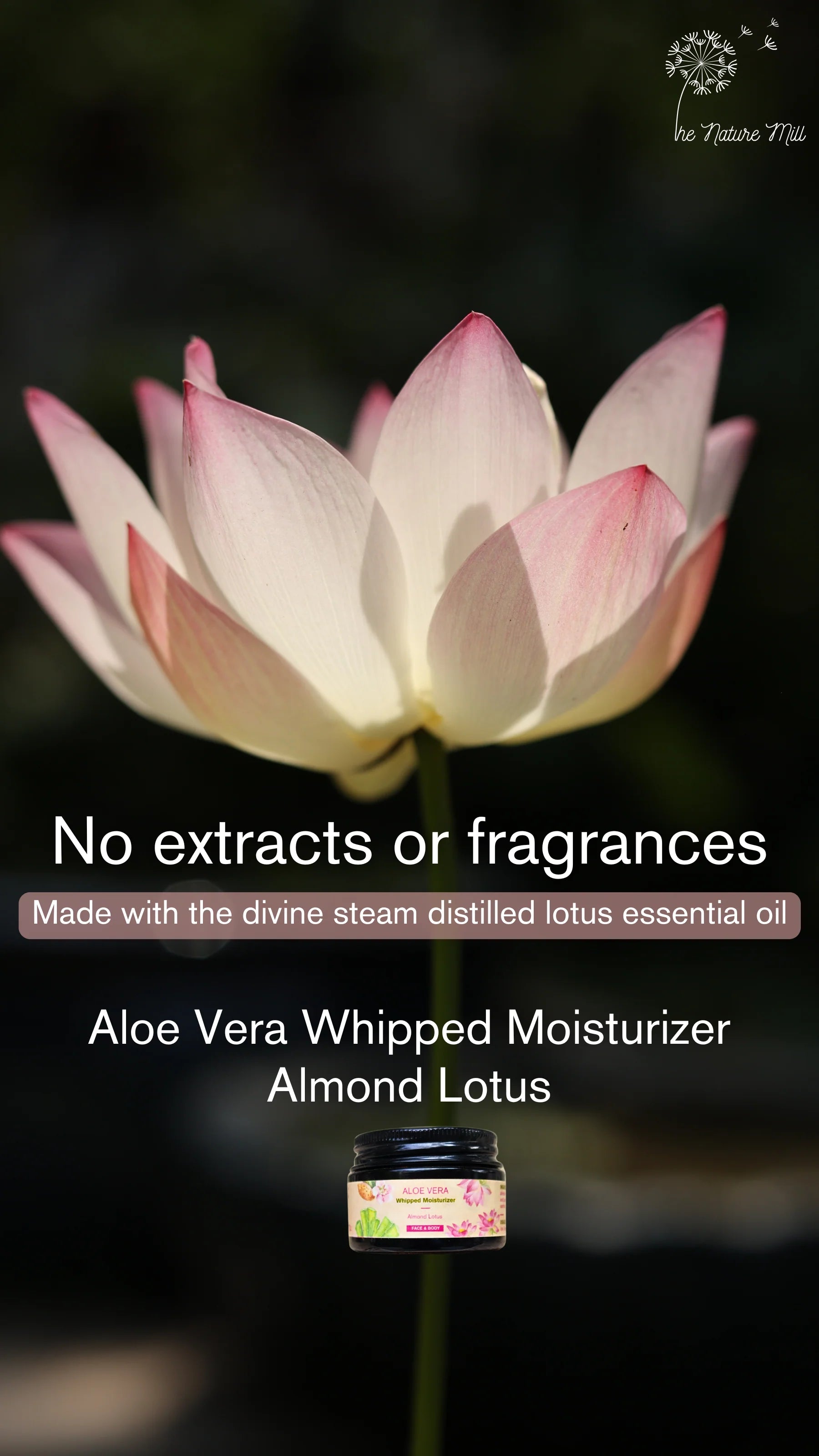 Lotion | Aloe Vera Almond Face &amp; Body Lotion (Lotus)– Nourishing &amp; Soothing  – The Nature Mill – 50gm