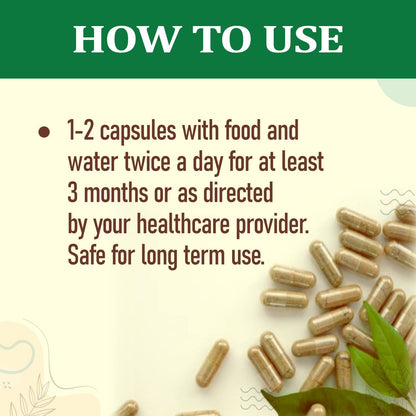 Ginger -Immune Strengthener, Stomach comfort Relief -No Artificial Additives- Organic Wellness - 90 Vegetarian Capsules