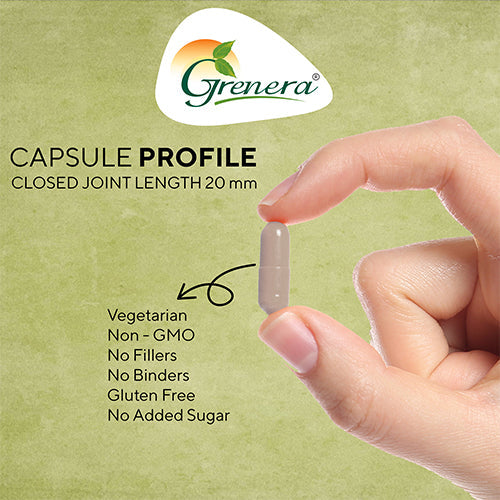 Curcumin With Piperine  Capsules | Nutraceutical - Vegan, Gluten Free, Non Gmo, Preservatives Free &amp;amp; No Additives - Grenera – 90 Capsules