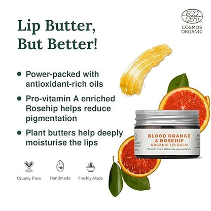 Blood Orange &amp;amp; Rosehip Organic Lip Balm – Juicy Chemistry – 5gm