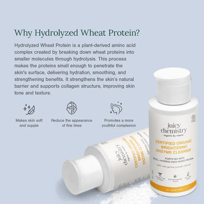 Organic Brightening Enzyme Cleanser - Fortified with Rice + Hydrolysed Wheat Protein- Cruelty Free &amp; Vegan, Handmade-No Colours Added – Juicy Chemistry – 50ml