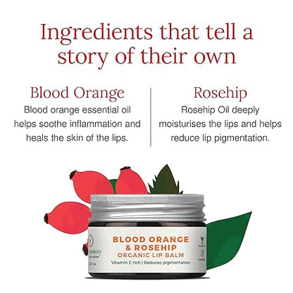Blood Orange &amp;amp; Rosehip Organic Lip Balm – Juicy Chemistry – 5gm