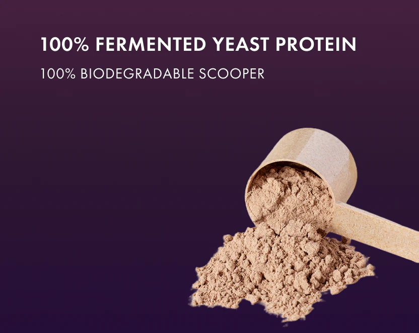 Protein Powder | Peanut Butter Protein Powder Fudge (24g Protein Per Serving) - Fermented Yeast Protein – No Nonsense – No Added Sugar, No Added Sugar &amp; No Added Artificial Flavours – Cosmix – 500gm