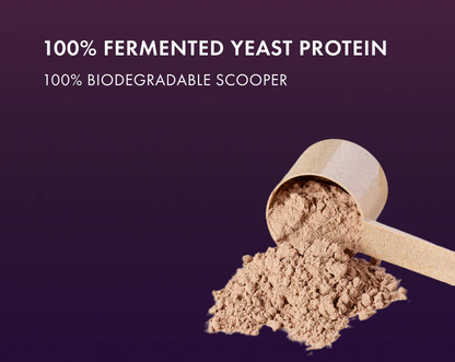 Protein Powder | Peanut Butter Protein Powder Fudge (24g Protein Per Serving) - Fermented Yeast Protein – No Nonsense – No Added Sugar, No Added Sugar &amp; No Added Artificial Flavours – Cosmix – 500gm
