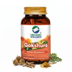 Gokshura (Boosts Testosterone) -Hormonal Balance, Vitality Enhancement, Renal Support-No Artificial Additives- Organic Wellness - 90 Vegetarian Capsules
