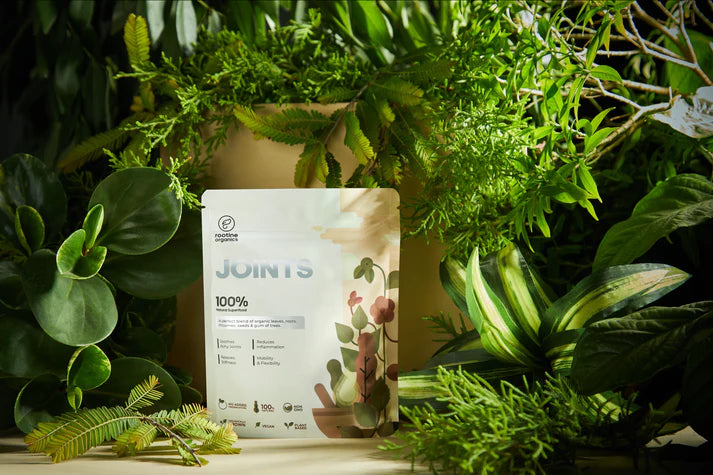 Joints | (A Perfect Blend Of Organic Leaves, Roots, Rhizomes, Seeds & Gum Of Trees) – Revitalise Your Joints Naturally with Ayurvedic Power - 100% Natural Superfood – Vegan, Non GMO & No Added Preservatives – Rootine Organics – 100gm