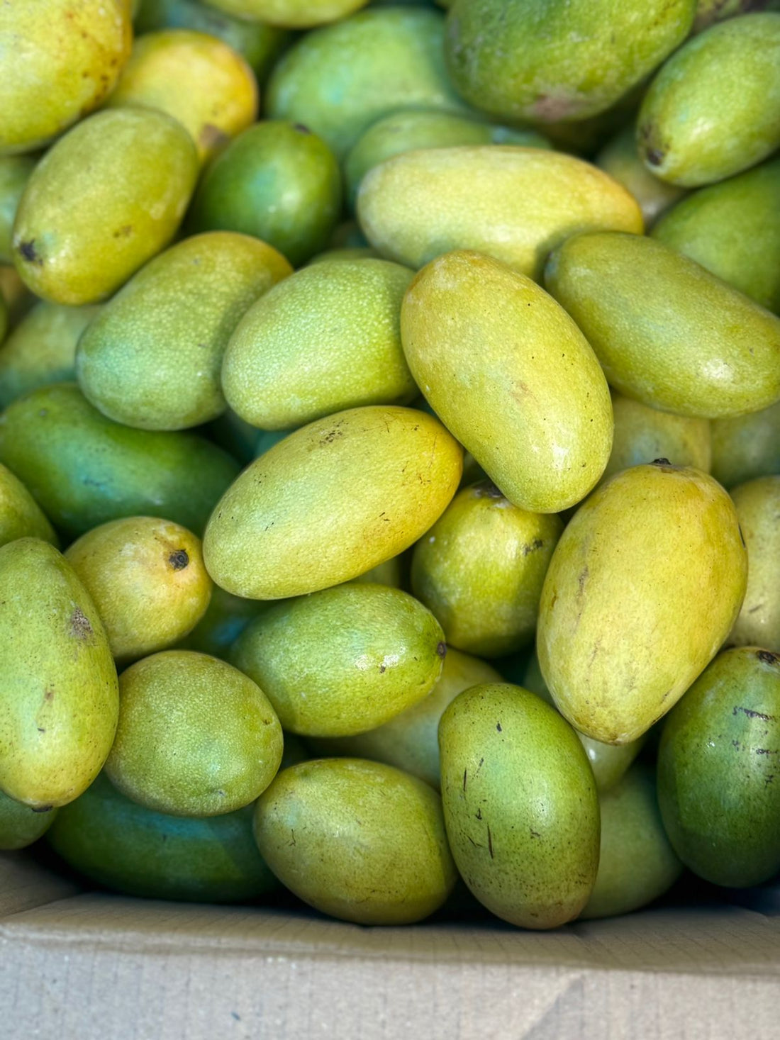 Mango | Amrapali Mango (Uttar Pradesh) – Carbide Free &amp; Naturally Ripened – Certified Organic