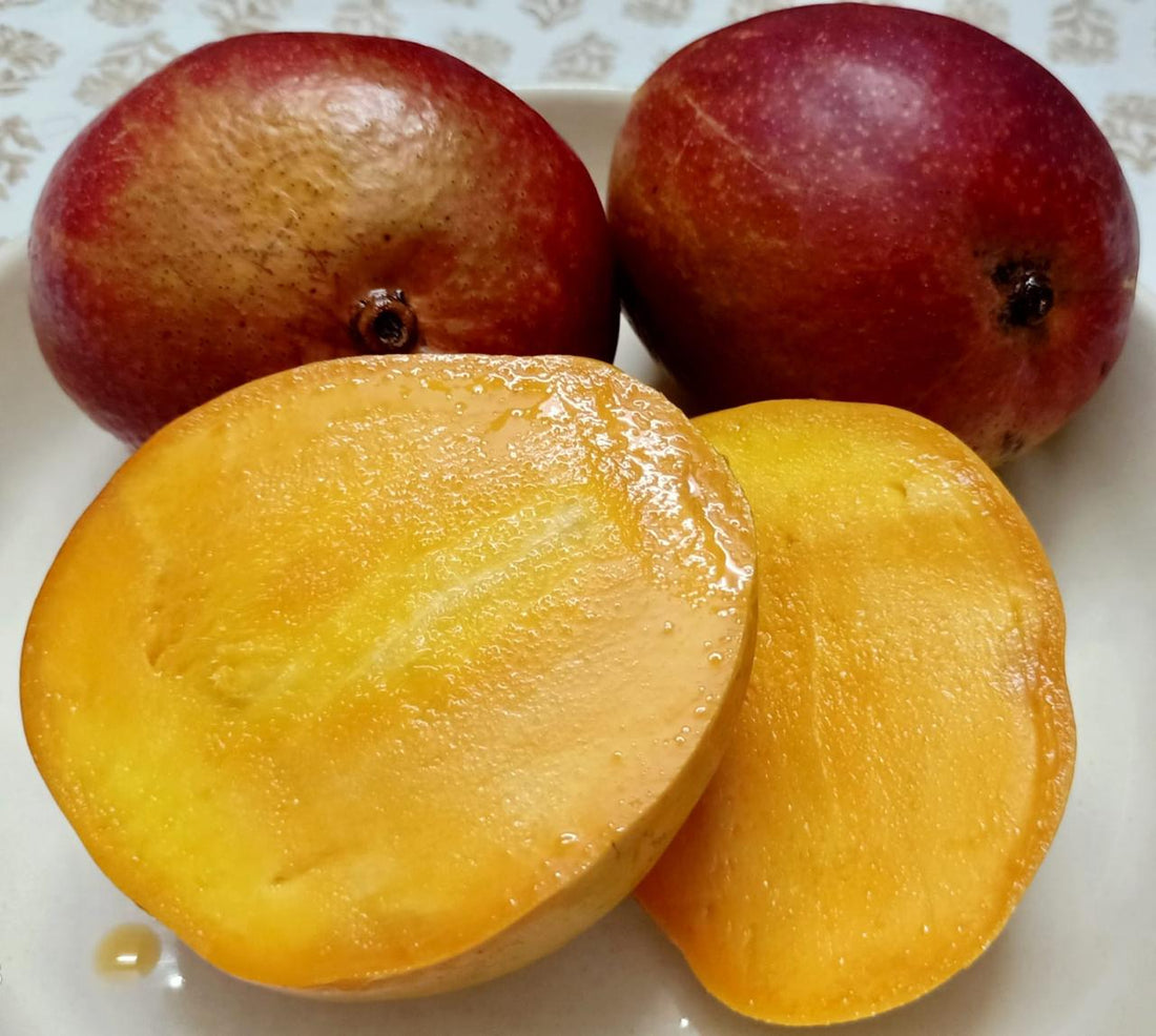 Mango | Anulika Mango (Kumaon, Uttarakhand)- Himalayan Mangoes - Organically Grown - Pesticide-Free &amp; Naturally Ripened-Carbide Free