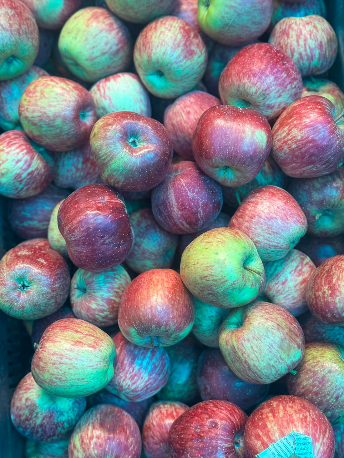 Apples | Kingrot Apples (Rampur Bushar) - Naturally Grown