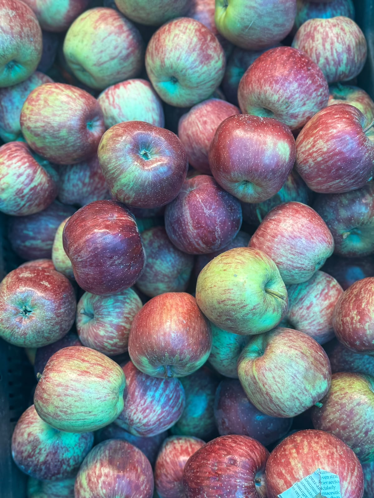 Apples | Kingrot Apples (Rampur Bushar) - Naturally Grown