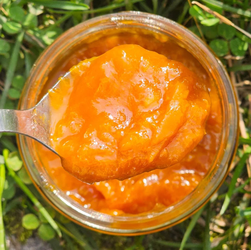 Preserve | Himalayan Apricot Rose Preserve (80% Fruit, 20% Raw Cane Sugar) -  Low Sugar, No artificial flavors, No artificial preservatives, No refined sugar- So Himalayas - 300gm