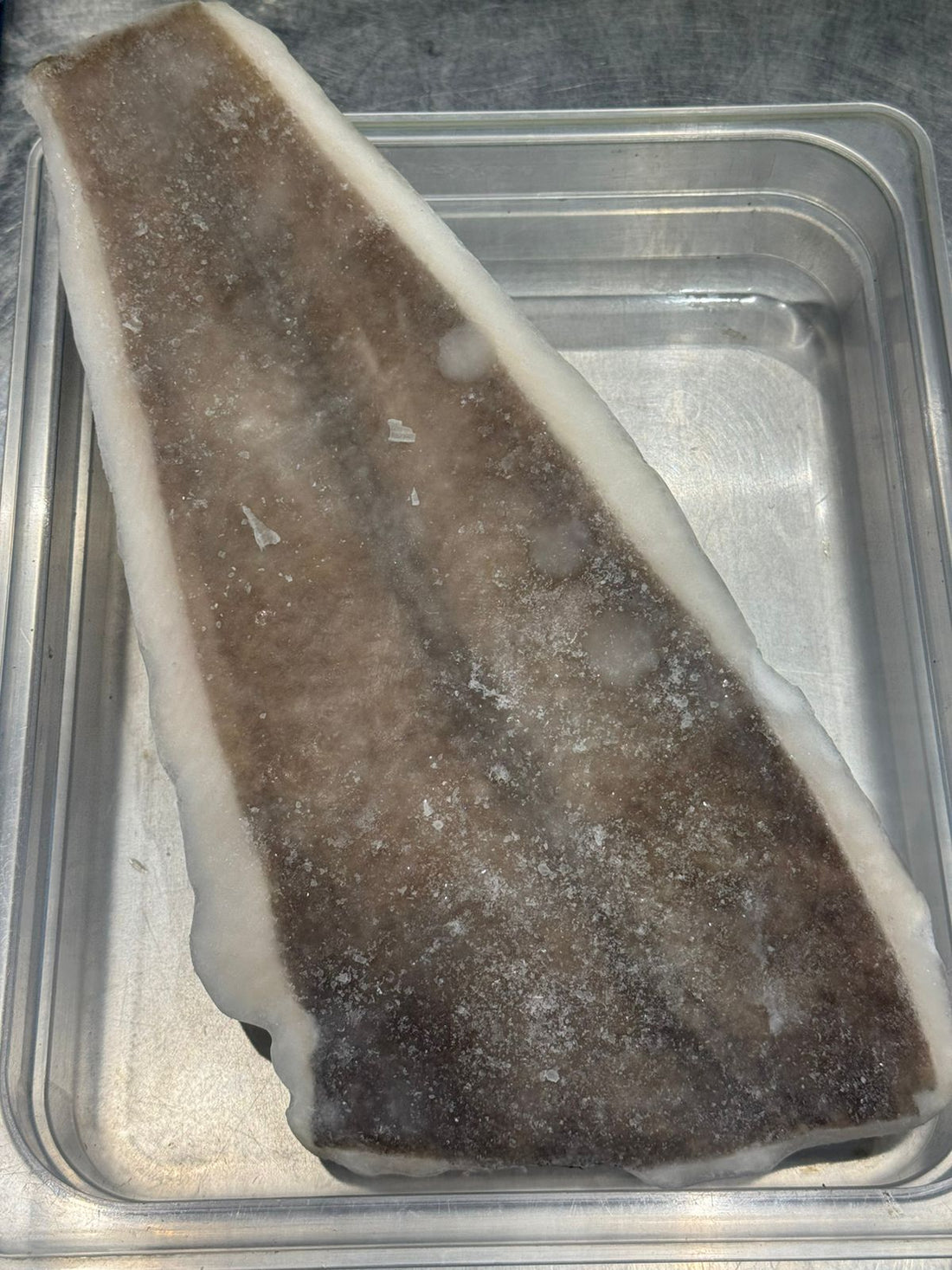 Fish | Atlantic Halibut – Frozen Fish -Premium Seafood– No Antibiotics  Seafood And Hormone Free-Nature&