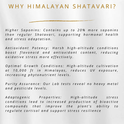 Shatvari Root Powder | Himalayan - 100 % Pure &amp; Natural - No Heavy Metals - Ayantara - 80gm