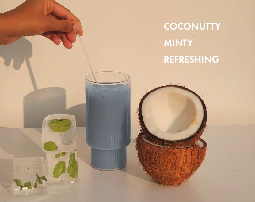 Protein Powder | Plant Protein – No Nonsense - (Coconut Peppermint) - 24gm Protein Per Serving –  Gut Friendly, Lactose Free, No Trans Fat, Soy Free, No Added Sugar, Stevia, Gums, Enzymes & No Added Artificial Flavours - Cosmix – 500gm