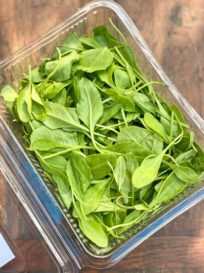Baby Spinach – Organically Grown