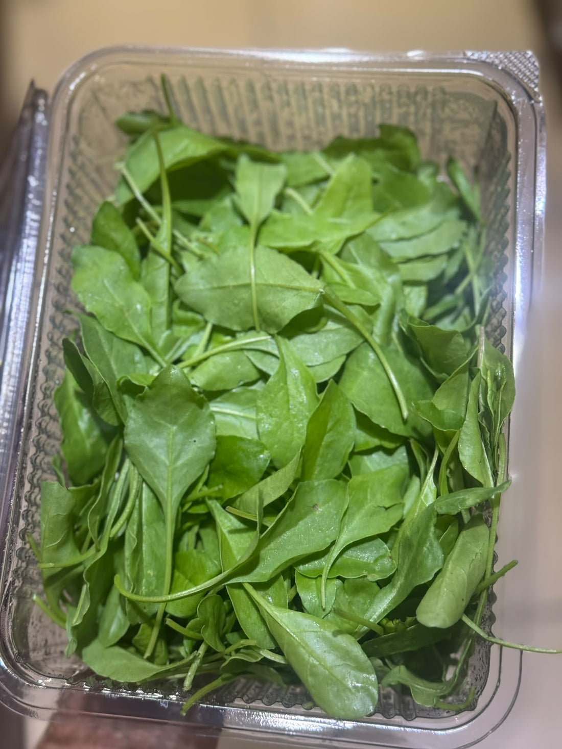 Baby Spinach – Organically Grown