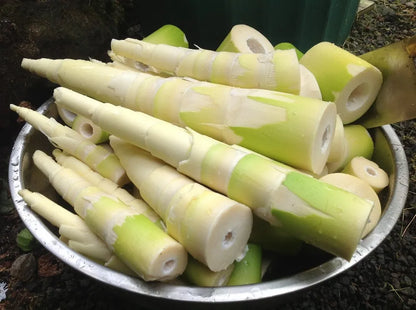 Pickle | Bamboo Shoot With Bhut Jolokia - No Added Preservatives Or Flavour - Ne Crafters – 100gm