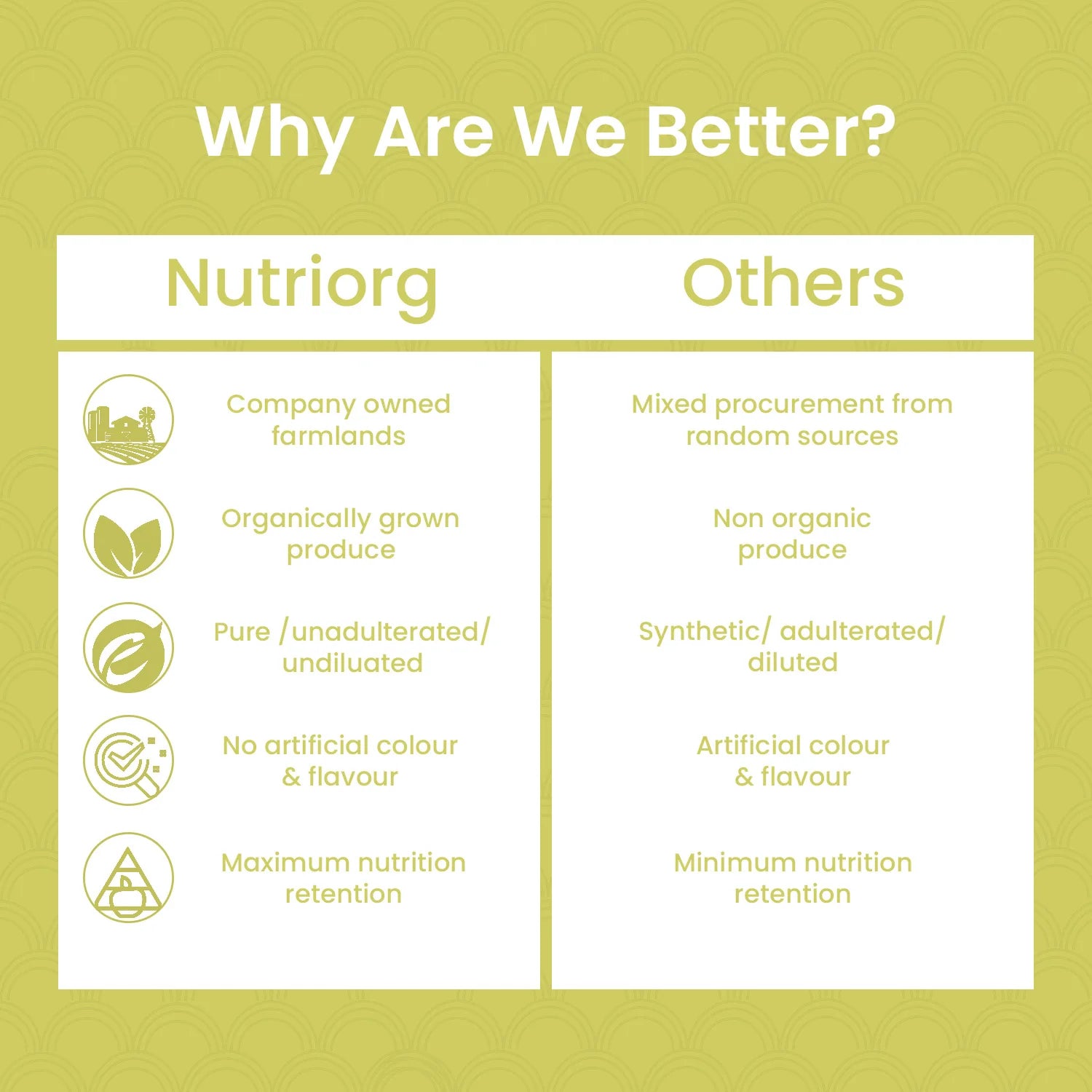 Barley Powder | USDA Organic - Rich In Vitamins, Iron &amp;amp; Phosphorus - Nutriorg - 75gm