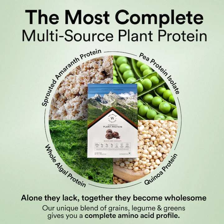 Protein Powder | Plant Protein - Belgian Dark Chocolate – 22gm Plant Protein – Vegan, Gluten Free, Dairy Free &amp; Non GMO – Wellbeing Nutrition – 907gm