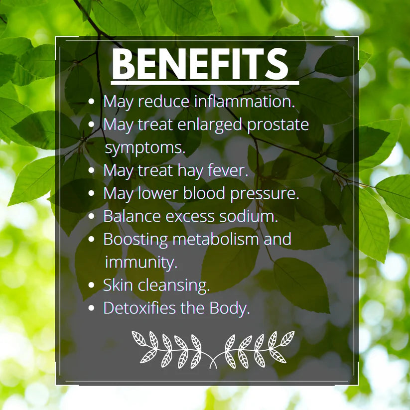 Tea | Nettle Leaf Tea - Stinging Organic Dried Cut Herb Urtica Dioica – Himalayan Sourced – Traditional Medicinal Tea - Organic - Caffeine Free &amp;amp; No Added Sugar – Vaastavik – 100gm