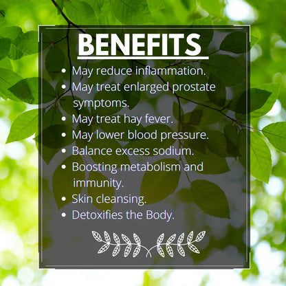 Tea | Nettle Leaf Tea - Stinging Organic Dried Cut Herb Urtica Dioica – Himalayan Sourced – Traditional Medicinal Tea - Organic - Caffeine Free &amp;amp; No Added Sugar – Vaastavik – 100gm
