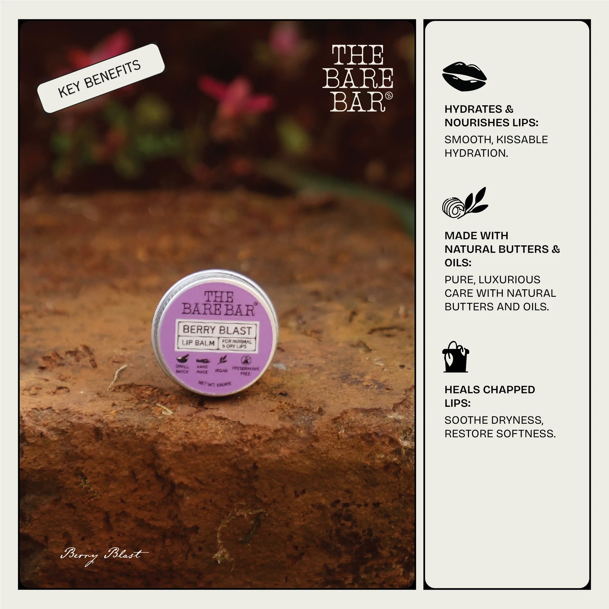 Lip Balm | Berry Blast - Hydrates &amp; Nourishes Lips - No Artificial Flavors, Preservatives &amp; Mineral Oil Free - The Bare Bar - 10gm