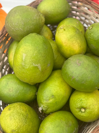 Big Hill Lemon (Galgal Nimboo) Himachal Pradesh - Organically Grown