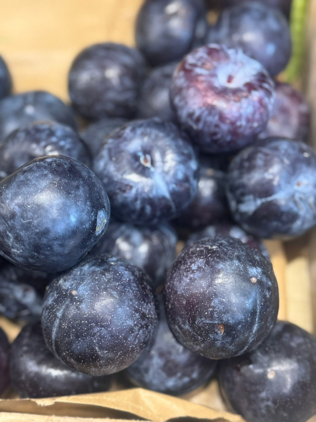 Plums | Black Amber Plums (Narkanda, Himachal Pradesh) - Organically Grown