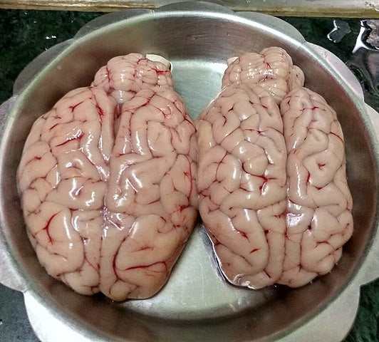 Mutton | Mutton Brain - Farm Fresh Mutton Brain -Safely Processed – Pasture Raised &amp;amp; Grass Fed – No Antibiotics And Hormone Free – Nature’s Soul – (Per Brain)