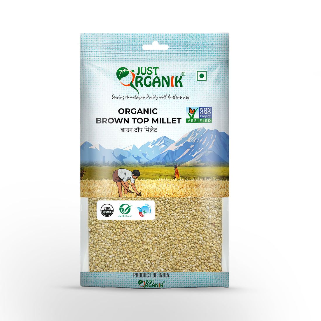 Brown Top Millet | USDA Organic - Just Organik - 500gm