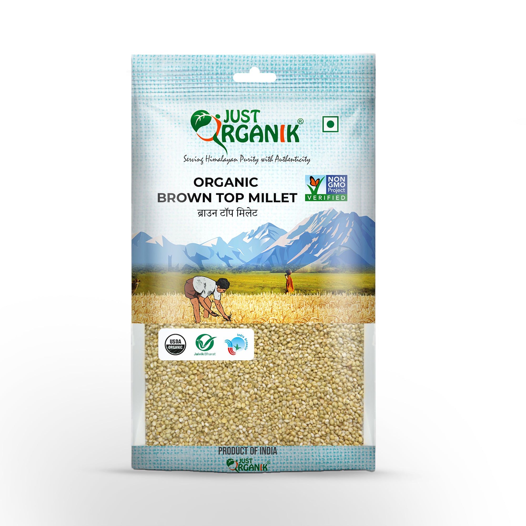 Brown Top Millet | USDA Organic - Just Organik - 500gm