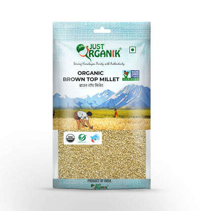 Brown Top Millet | USDA Organic - Just Organik - 500gm