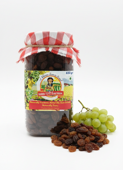 Raisins | Premium Brown Raisins- Naturally-Farmed, Naturally Sun Dried, Naturally Tasty - 100% Natural, No Chemical Treatment - Umrani Farms - 650gm