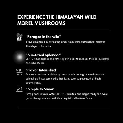 Mushroom | Morel Mushroom (Wild) - Gucchi – Tiny Treasures – Ideal For Soup, Omelettes And Garnishes – Suitable For Preservation – Gluten Free, High In Protein And Fiber &amp;amp; Enriched With Antioxidants – Alchemy Dose – 60gm