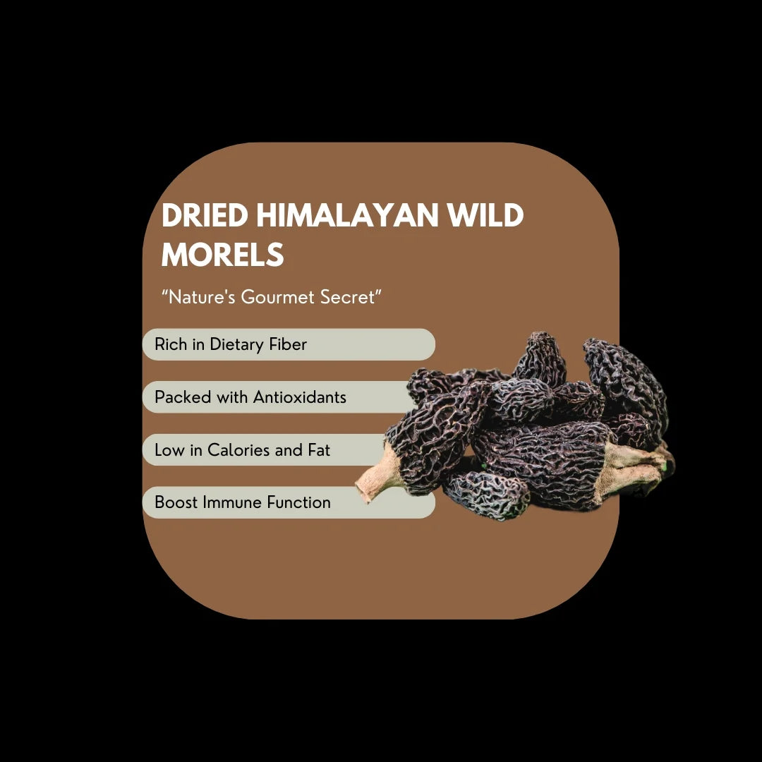 Mushroom | Morel Mushroom (Wild) - Gucchi – Tiny Treasures – Ideal For Soup, Omelettes And Garnishes – Suitable For Preservation – Gluten Free, High In Protein And Fiber &amp;amp; Enriched With Antioxidants – Alchemy Dose – 60gm