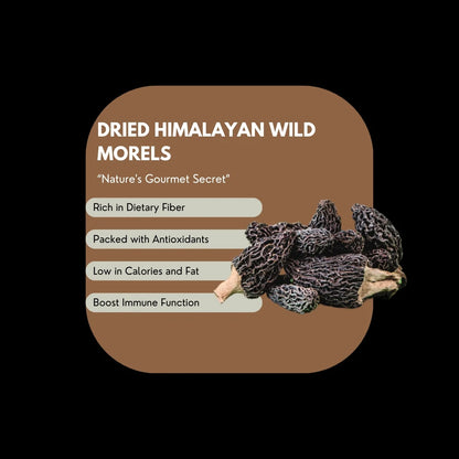 Mushroom | Morel Mushroom (Wild) - Gucchi – Tiny Treasures – Ideal For Soup, Omelettes And Garnishes – Suitable For Preservation – Gluten Free, High In Protein And Fiber &amp;amp; Enriched With Antioxidants – Alchemy Dose – 60gm