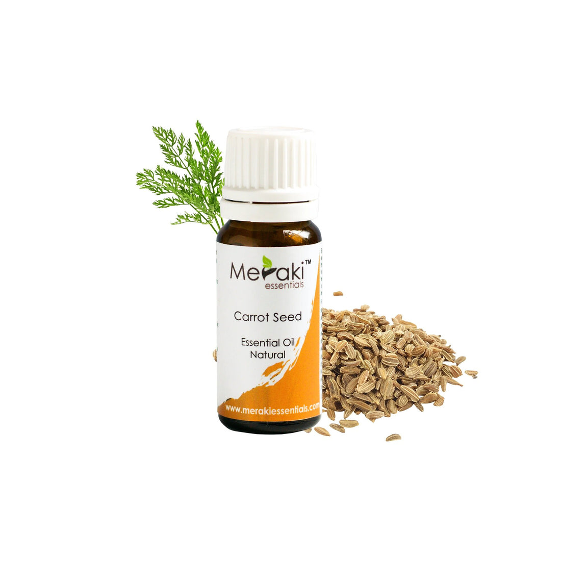 Carrot Seed Essential Oil (Daucus Carota) - Natural - Indian -Meraki Essentials – 10ml