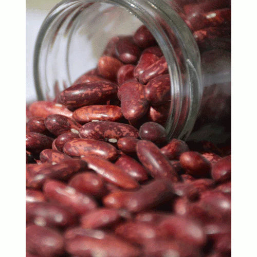 Rajma | Chakrata - Himalaya 2 Home – 500 gm