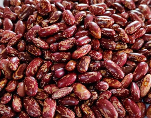 Rajma | Chitra Rajma From Chakrata – Himalaya 2 Home – 1000gm