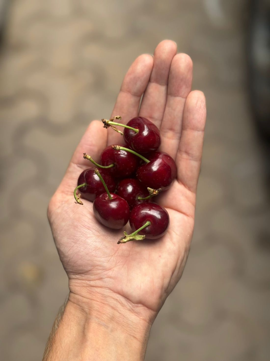 Cherry | (Himachal Pradesh) - Organically Grown