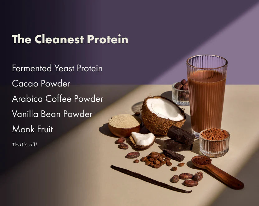 Protein Powder | Chikmagalur Mocha Protein (24g Protein Per Serving) - Fermented Yeast Protein – No Nonsense – No Added Sugar, No Added Sugar &amp; No Added Artificial Flavours – Cosmix – 500gm