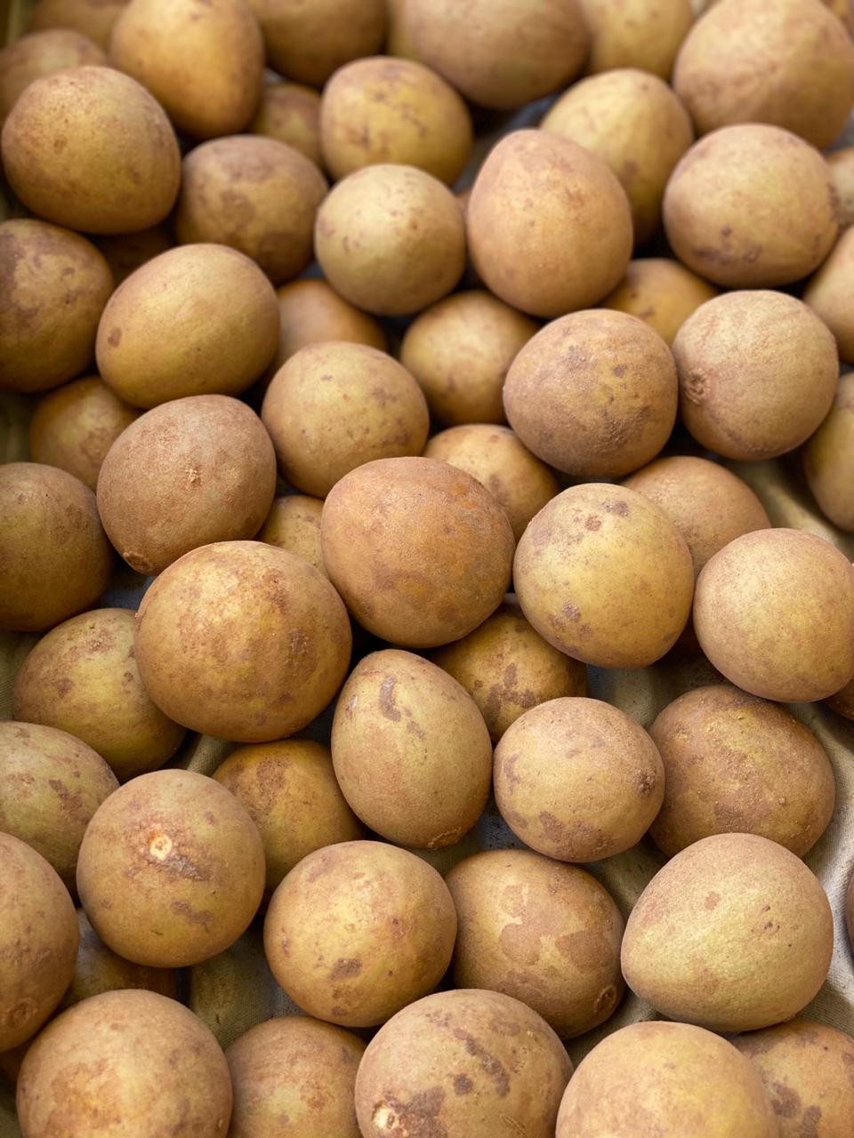 Chikoos | (Maharashtra) – Certified Organic