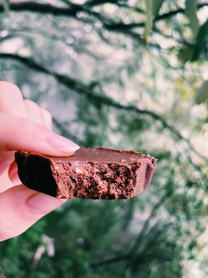 Chocolate Fudge | Almond Crunch - Indian – Vegan, Gluten Free, Sugar Free, Keto Friendly &amp;amp; Dairy Free – Atmosphere – 2 Piece - 48gm