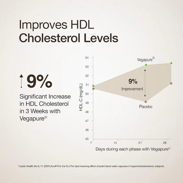 Cholesterol Control | Slow - Plant Sterols To Support Cardiovascular Health - Wellbeing Nutrition - 60 Capsules