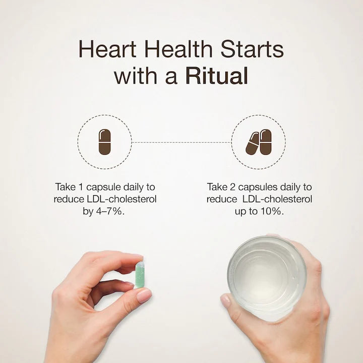 Cholesterol Control | Slow - Plant Sterols To Support Cardiovascular Health - Wellbeing Nutrition - 60 Capsules