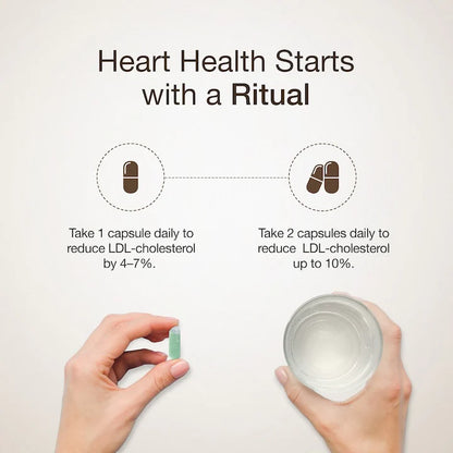 Cholesterol Control | Slow - Plant Sterols To Support Cardiovascular Health - Wellbeing Nutrition - 60 Capsules